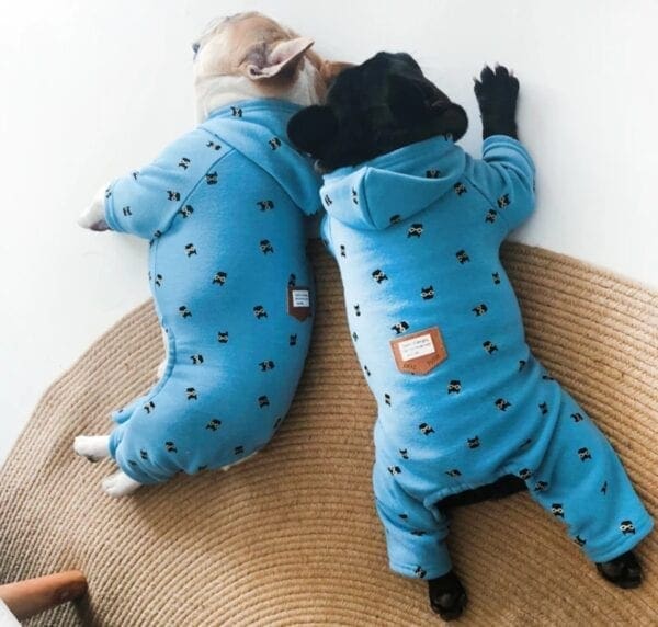 Two dogs in pajamas are laying on a wall.