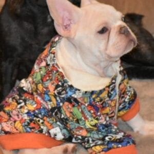 A dog wearing a shirt with comic book images on it.