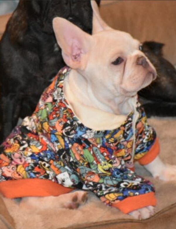 A dog wearing a shirt with comic book images on it.