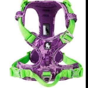 A purple and green harness with a dog on it.