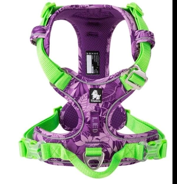 A purple and green harness with a dog on it.