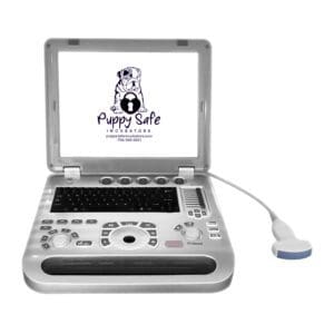 A laptop computer with a dog on the screen.