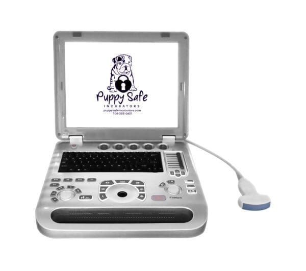 A laptop computer with a dog on the screen.